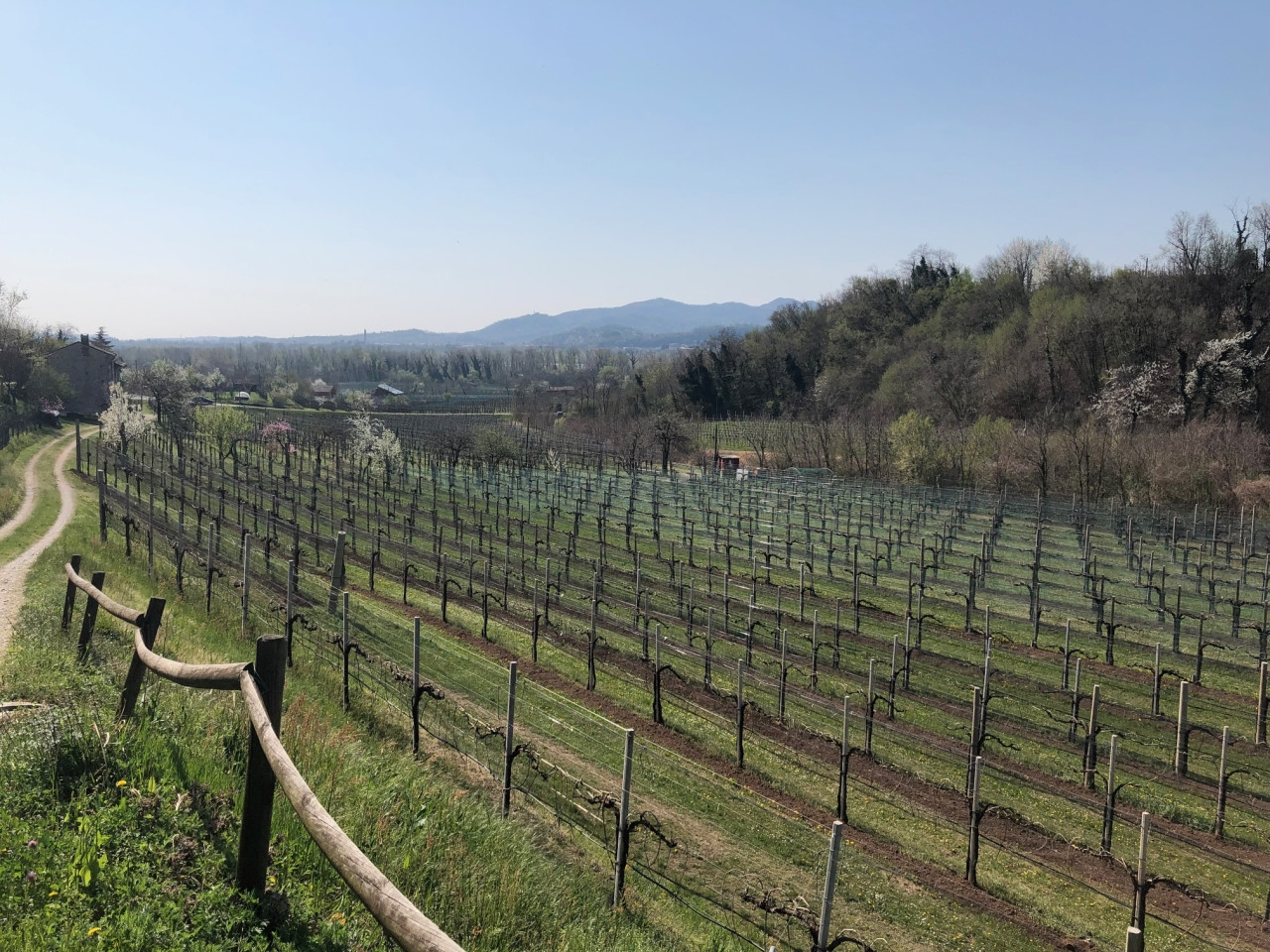 SORRENTO LUXURY S.R.L