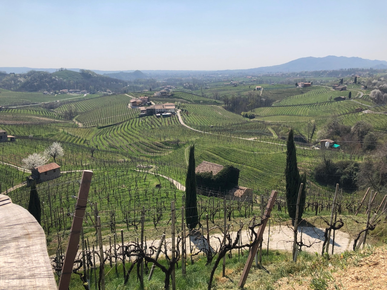 SORRENTO LUXURY S.R.L