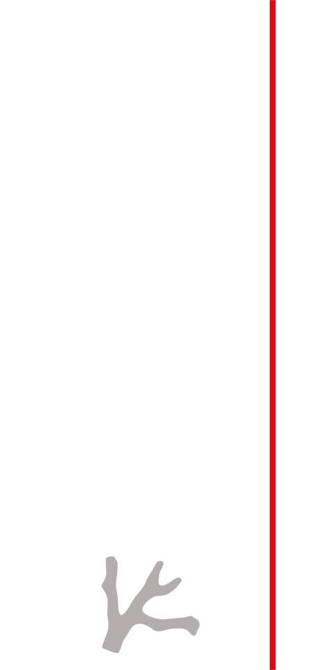 SORRENTO LUXURY S.R.L